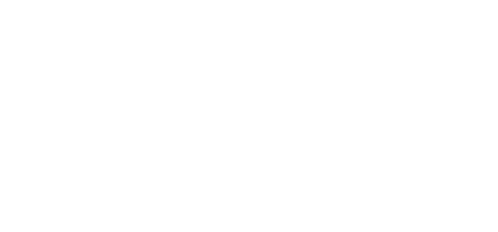 Dresden Skyline